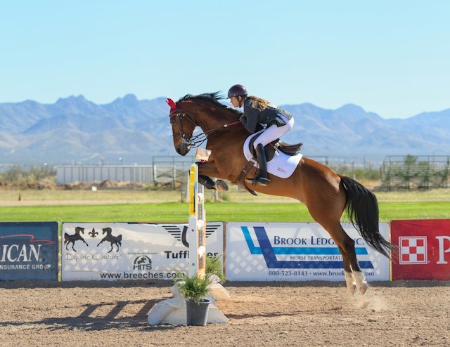 A rider and horse jumping in a grass arena
