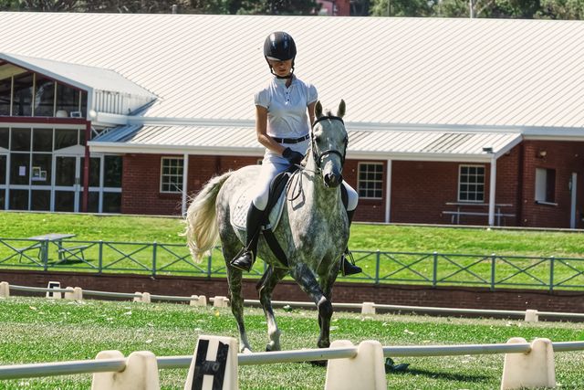 A rider and horse working in an outdoor arena