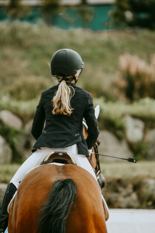 A rider seen from behind on a horse